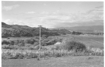 Hokio Stream, looking east from McDonald Cemetery, 1977