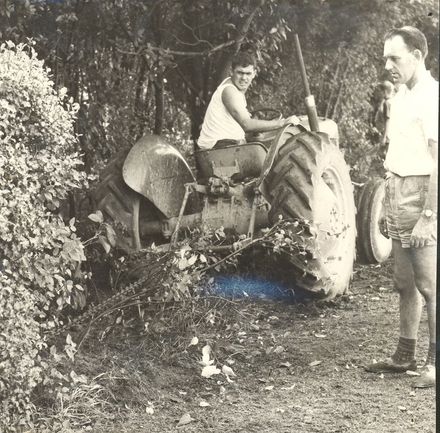 Removal of Lawsonia hedge at Levin School