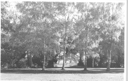 View (1 of 9) Bruce Stewart's property, Heatherlea, 1977