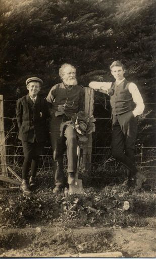 Man & 2 boys (unidentified) in vegetable garden