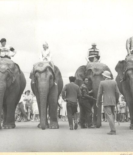 Elephant Race along Oxford Street, Levin, 1963