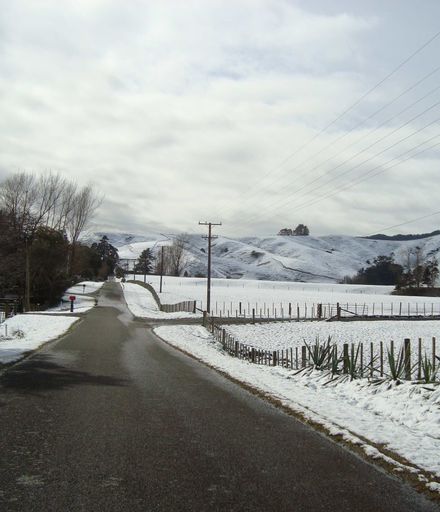 Venturing out - snow at end of Denton Road, Levin