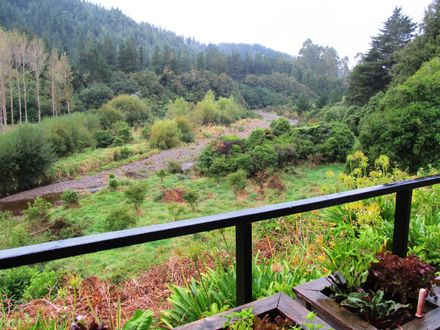 Garden 7 View of Makahika Stream from the deck - Resource cover image