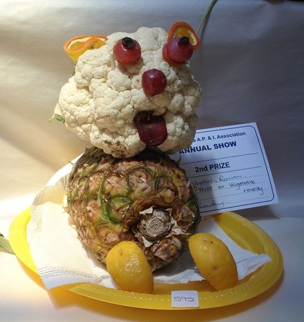 Fruir or vegetable novelty 2nd prize - Resource cover image