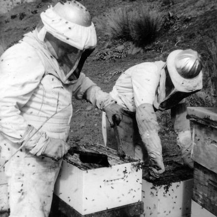 Russell Field right of Field's Apiaries, Foxton