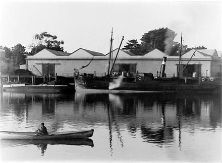 Foxton 1929 Leslie Adkin - Resource cover image