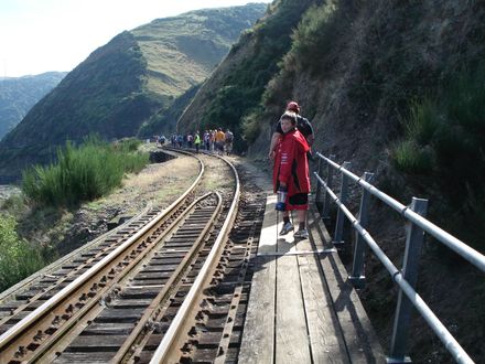 06 Bridge with walkway and handrail
