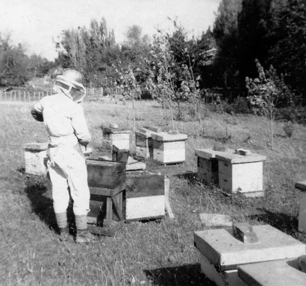 Russell Field removing honey 1