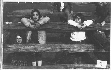Children on log climbing frame in unidentified playground ?