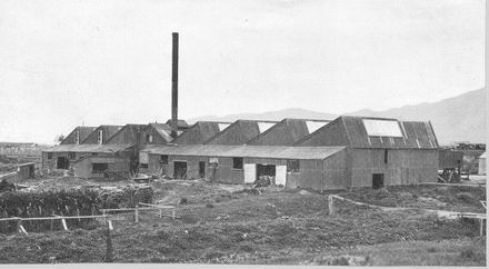 Miranui Flax mill