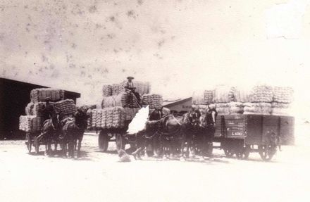 Bales of flax fibre being loaded on to railway wagons at Shannon, c.1920