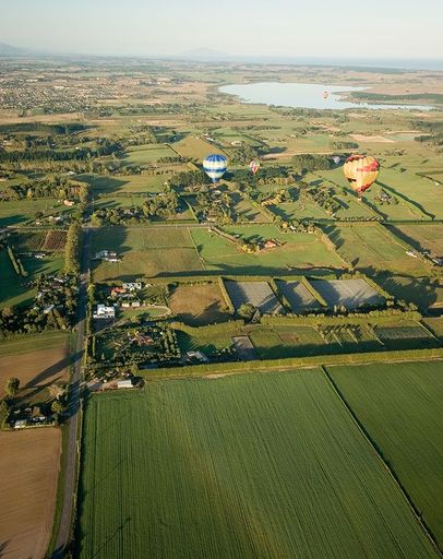 In Flight - Photo by Trevor Heath - Resource cover image