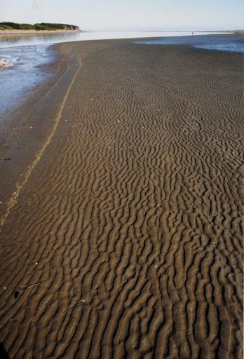 Patterns in the Sand, Foxton Beach