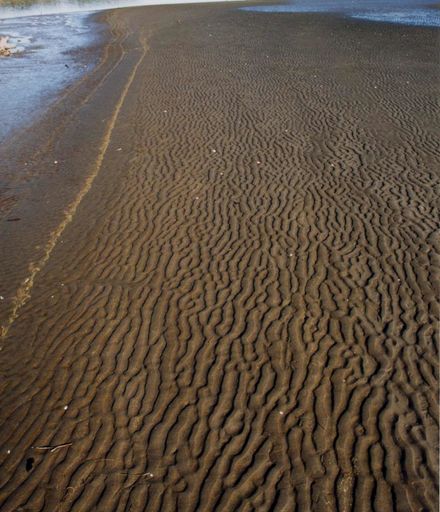 Patterns in the Sand, Foxton Beach