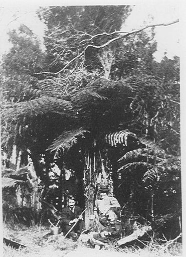 On the Island, Lake Papaitonga