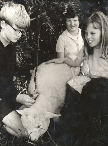 Boys' and Girls' Agricultural Club, Levin North School - Resource cover image