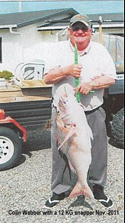 http://horowhenua.kete.net.nz/image_files/0000/0011/3442/Colin_Webber_with_a_12KG_Snapper_Nov_edited-1_small.jpg?1367143588