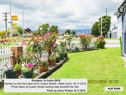 HJP 0240   Garden on the front lawn at 61 Queen Street ( West )Levin 16-11-2018