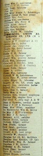 New Zealand Post Office Directory 1921 Levin clo-dyn