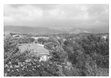 View (1 of 7) from Charles Taylor's house, Argyle Ave., 1969 - Resource cover image