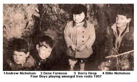 Four Boys Playing in Uprooted Tree Stumps. - Resource cover image