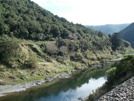 03 Manawatu River with road