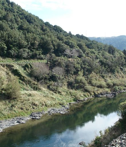 03 Manawatu River with road