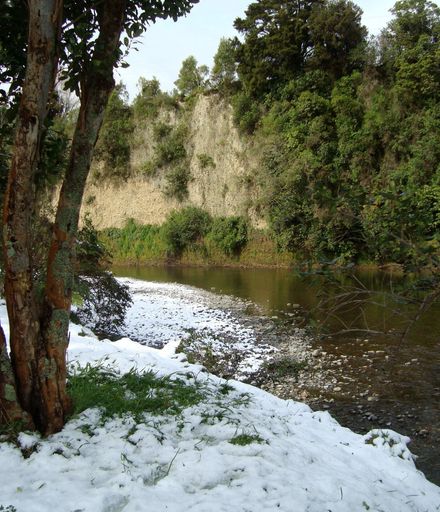 Venturing out - snow by Ohau River at Gladstone Reserve, Levin