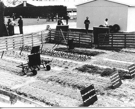 Weed control outdoor display, Open Day, 1977