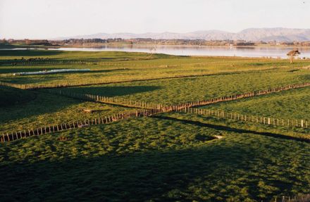 Matthew Stickle's Farm and Lake Horowhenua