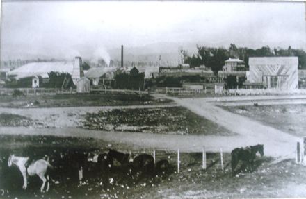 Prouse's Sawmill, Weraroa, 1895