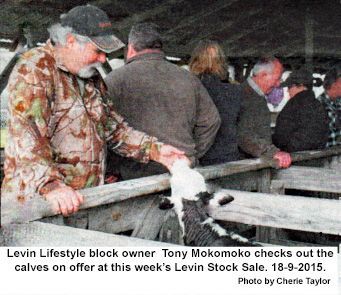 Tony Mokomoko at Levin Sale yards