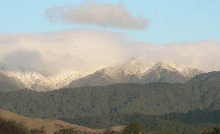 View from my bedroom.