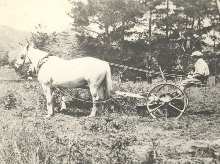 Haymaking at Manakau - early horse drawn mower - Resource cover image