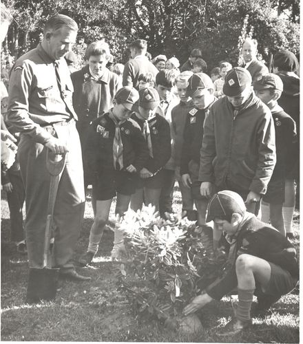 Cub packs, tree planting, Tatum Park, 1969