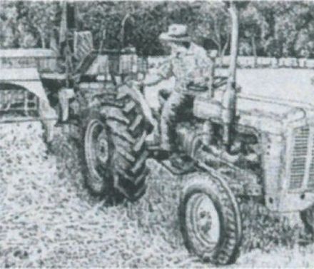 Dave Bang - Resource cover image