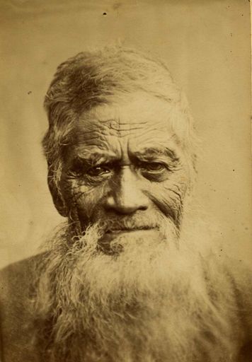 Te Rangirurupani of Muaupoko