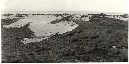 Send Belt, Horowhenua