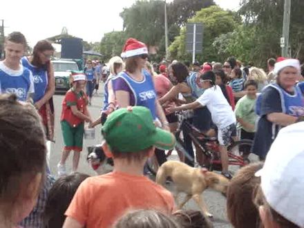 Levin SPCA with animals in Levin Christmas Parade 2011 - Resource cover image