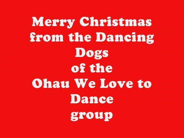 Christmas 2005 - Dancing Dogs of Ohau - Resource cover image