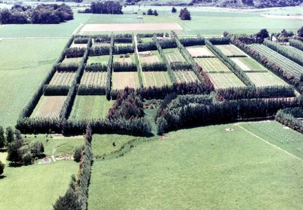 Aerial view of Matatoa Nursery, Engles Road (east of Shannon), 1987