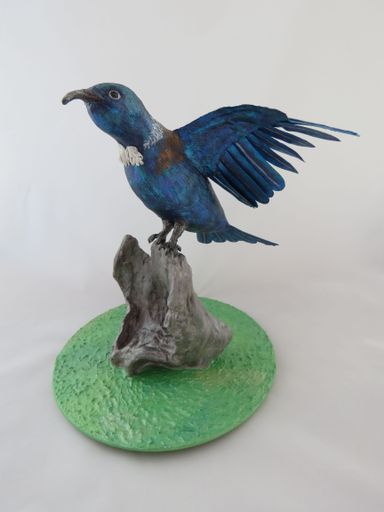 Tui - Resource cover image