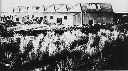 'Miranui' Mill, Shannon c. 1907