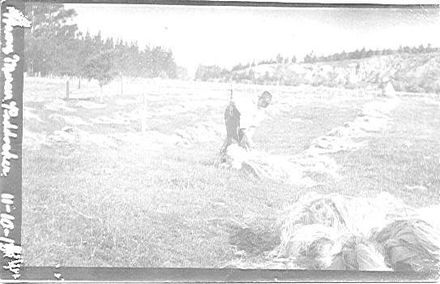 Worker in Fibre Paddocks