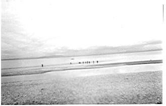 Hauling for flounder at Foxton Beach