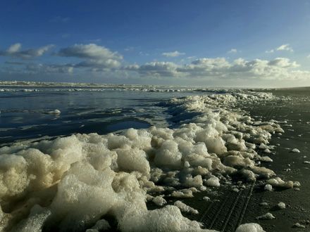 Sea foam , Waitārere Beach - #CaptureYourHorowhenua - Resource cover image