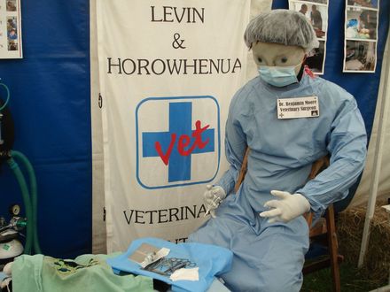 Vet stand