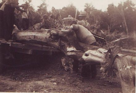 Loading dead trees with roots onto truck, close-up view from rear of truck