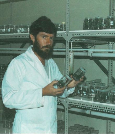 Scientist working at Horticulture Research Levin 1984 2