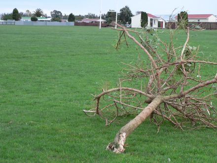 the stuff blew all over the place - Resource cover image